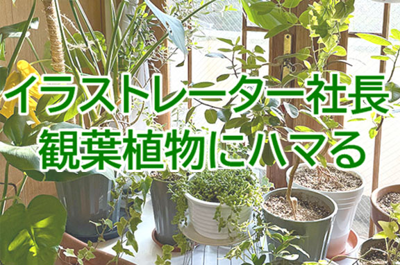 イラストレーター社長、観葉植物にハマる