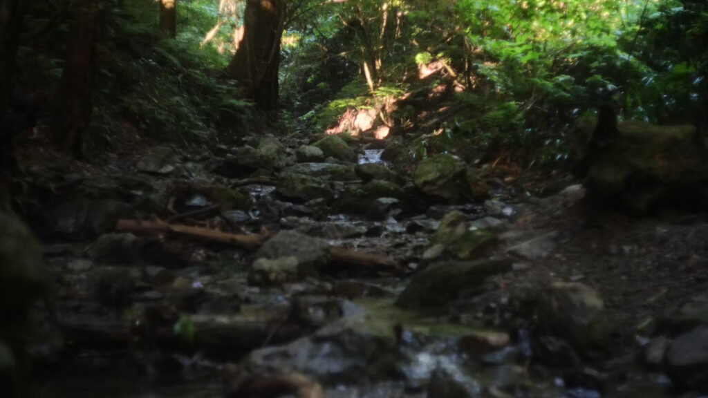 ジブリみたいな高尾山