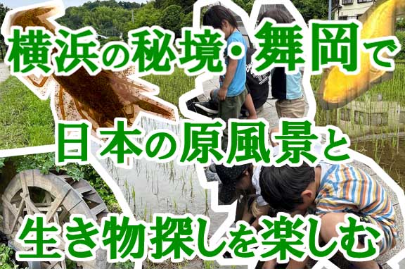 知る人ぞ知る横浜の秘境・舞岡で、日本の原風景と生き物探しを楽しむ