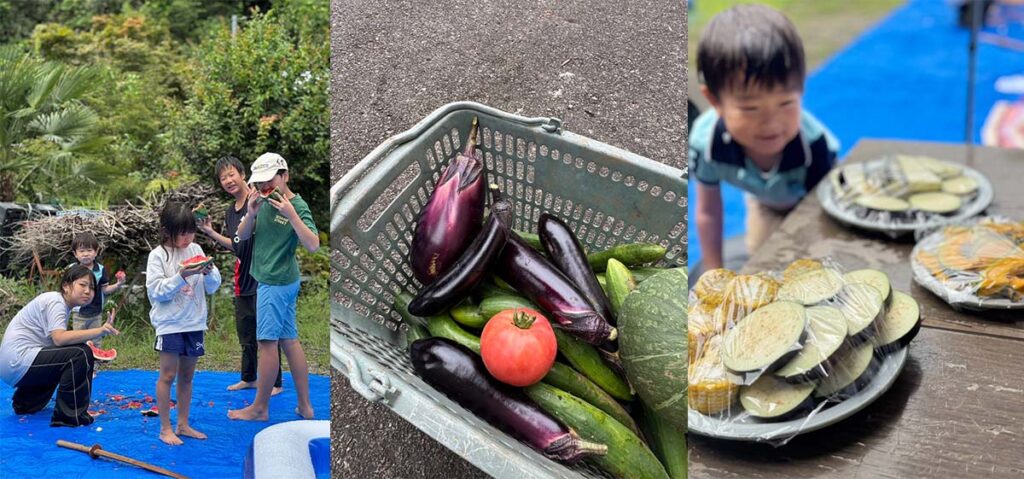 採れたての野菜